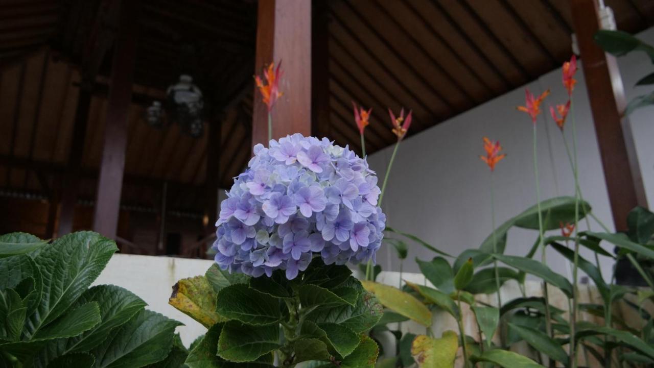 Sanggar Pantcha Indra Guest House Kemuning ภายนอก รูปภาพ